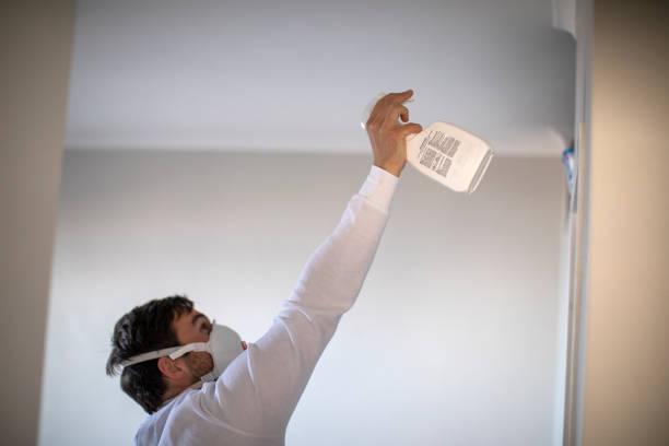 Mold Testing and Removal in Montz, LA