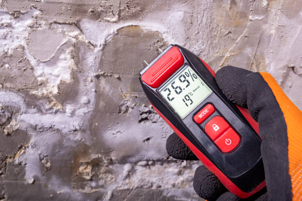 Best Water Damage Restoration  in Montz, LA