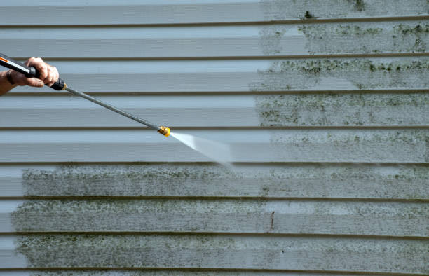 Best Black Mold Removal  in Montz, LA