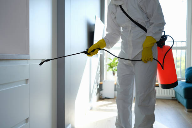 Best Mold Inspection  in Montz, LA