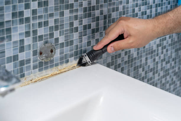 Best Professional Mold Removal  in Montz, LA