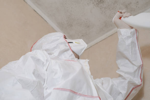 Best Mold Testing  in Montz, LA