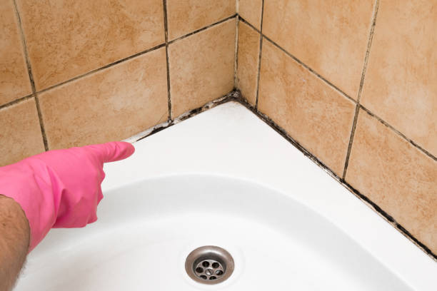 Best Toxic Mold Removal  in Montz, LA